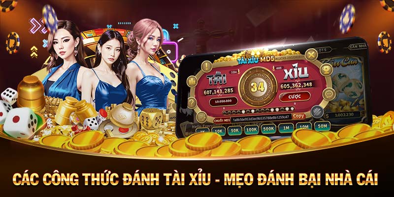 tha ku casino 🎲game bài đổi thưởng 10nhacai